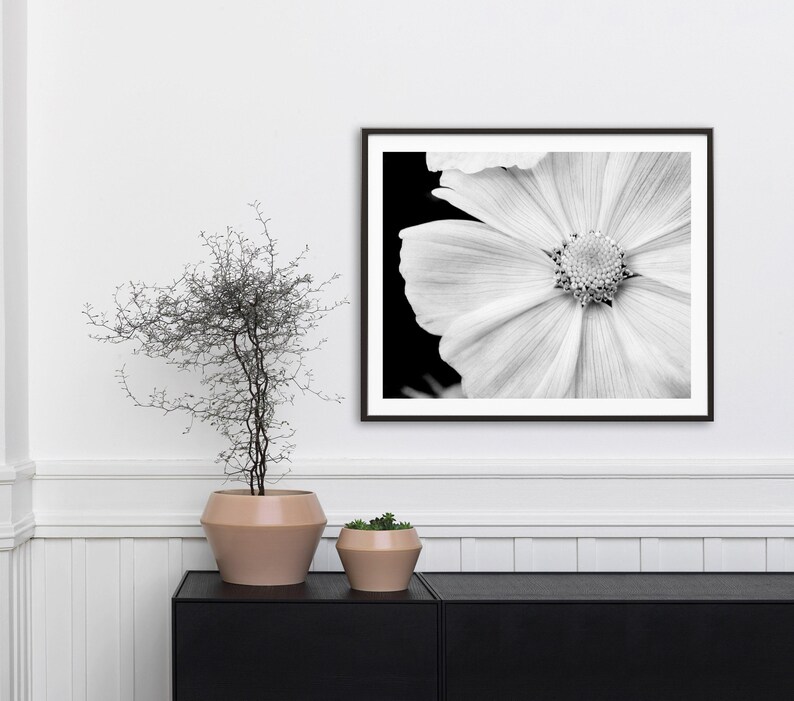 Black and White Nature Photography, White Flower Photo, Macro Flower, Photo Print, Flower Close Up, White Flower Petals, 16x20 Wall Art image 3