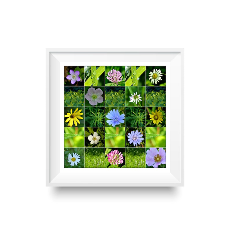Michigan Wildflowers Flower Pictures Nature Photography Garden Decor Flower Collage Green Grass Photo Print Spring Images Green Art