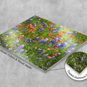 Modern high-gloss metal print of a Texas wildflower field