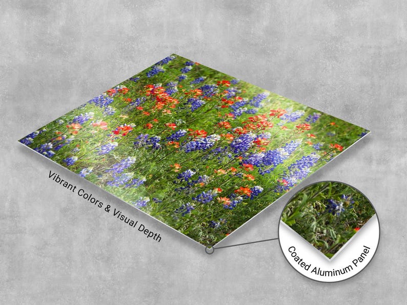 Modern high-gloss metal print of a Texas wildflower field