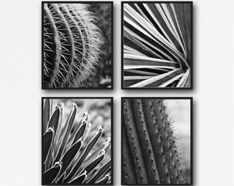 Discounted Sets, Botanical Prints, Succulent Photos, Nature Prints, Tropical Plants, Southwest decor, Macro Plants, Cactus Needles, BW Art