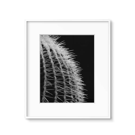 Black And White Cactus Wall Art Photo Print Cactus Needles Etsy