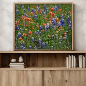 Impresión artística de lupinos de Texas y pincel indio, fotografía de campo de flores silvestres, decoración de pared de la región montañosa de Texas, lienzo o impresión en metal. imagen 2