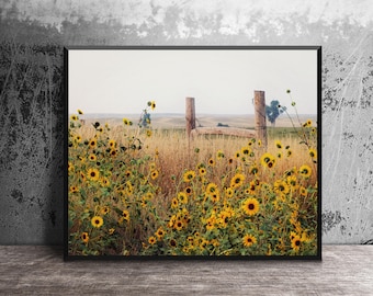 Sunflower Field Wall Art, Yellow Floral Photography Print, Modern Farmhouse Decor, Nature Canvas Wrap, Gift for Flower Lover