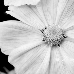 Black and White Nature Photography, White Flower Photo, Macro Flower, Photo Print, Flower Close Up, White Flower Petals, 16x20 Wall Art image 4