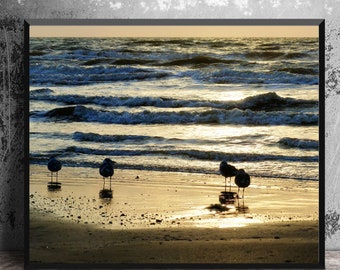 Gulf Coast Sunrise and Seagulls Nature Photography, Ocean Waves Seascape, Beach Decor, Gold Light, 16x20 Gulls Art Print, Coastal Wall Art