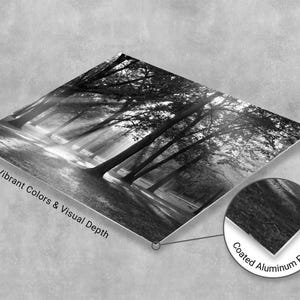 High-definition metal photography print showing the luminous, glossy finish of a sunlit forest landscape.