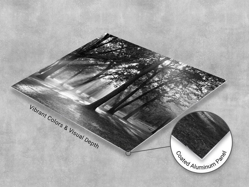 High-definition metal photography print showing the luminous, glossy finish of a sunlit forest landscape.