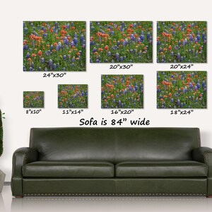 Impresión artística de lupinos de Texas y pincel indio, fotografía de campo de flores silvestres, decoración de pared de la región montañosa de Texas, lienzo o impresión en metal. imagen 10