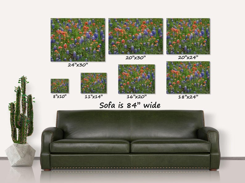Impresión artística de lupinos de Texas y pincel indio, fotografía de campo de flores silvestres, decoración de pared de la región montañosa de Texas, lienzo o impresión en metal. imagen 10