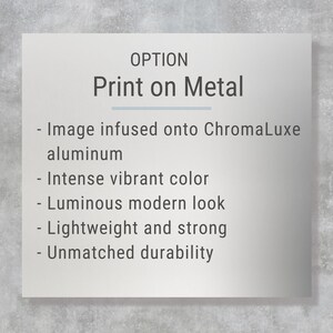 The image is a metal sign with the option to print on it. It is described as having an intense vibrant color, a luminous modern look, a lightweight and strong construction, and an unpatched durability.