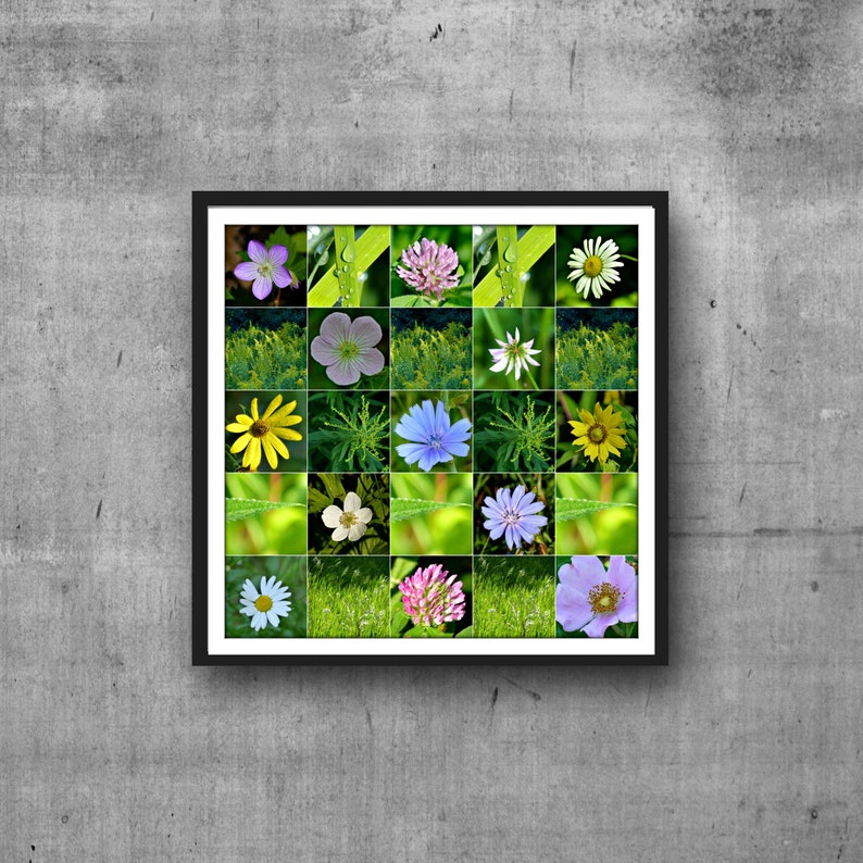 Michigan Wildflowers Flower Pictures Nature Photography Garden Decor Flower Collage Green Grass Photo Print Spring Images Green Art