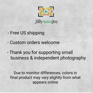 text that provides information about a business, specifically Jilly Anna Joy, and their shipping and photography services. It mentions that free US shipping is offered, custom orders are welcome, and customers should thank the business for supporting small business and independent photography. The text also mentions that due to monitoring differences, colors in the final product may vary slightly from what appears online.