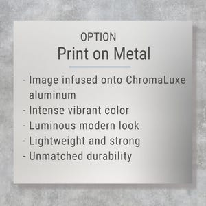 The image is a metal sign with the option to print on it. It is described as having an intense vibrant color, a luminous modern look, a lightweight and strong construction, and an unpatched durability.