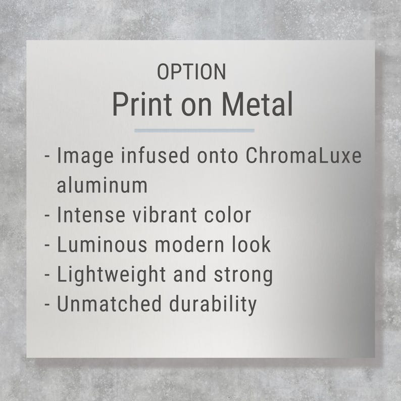The image is a metal sign with the option to print on it. It is described as having an intense vibrant color, a luminous modern look, a lightweight and strong construction, and an unpatched durability.