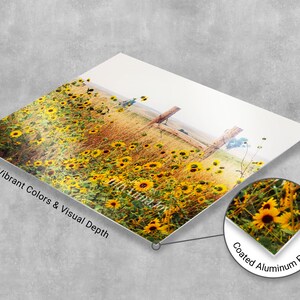Field of Sunflowers Wall Art, Canvas Wrap Wall Decor, Sunflower Decor Metal Print, Landscape Photography, Farmhouse Home Decor image 7