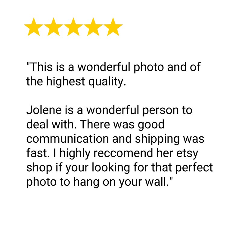 Skeins of Yarn Williamsburg VA Colonial Decor Knitting Etsy