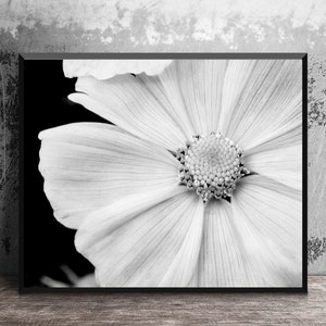 Black and White Nature Photography, White Flower Photo, Macro Flower, Photo Print, Flower Close Up, White Flower Petals, 16x20 Wall Art