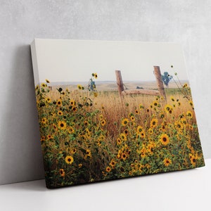 Field of Sunflowers Wall Art, Canvas Wrap Wall Decor, Sunflower Decor Metal Print, Landscape Photography, Farmhouse Home Decor image 5