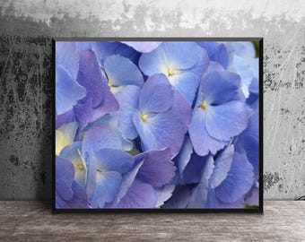 Purple Hydrangea Photo, Nature Photography, Hydrangea Canvas Wrap, Macro Flower Photo, Sunroom Decor, Unique Gift for Gardeners, 16x20 Art