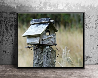 Bird House Art Print, Rustic Nature Decor, Housewarming Gift for Bird Lover, Gardener Gift, Canvas Wall Art, Sunroom Decor, Cottage Wall Art