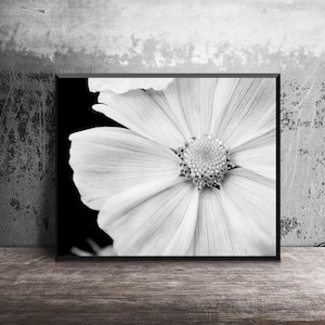 Black and White Nature Photography, White Flower Photo, Macro Flower, Photo Print, Flower Close Up, White Flower Petals, 16x20 Wall Art image 1
