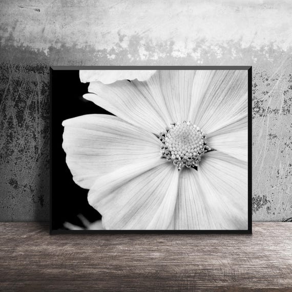 Black and White Nature Photography, White Flower Photo, Macro Flower, Photo Print, Flower Close Up, White Flower Petals, 16x20 Wall Art