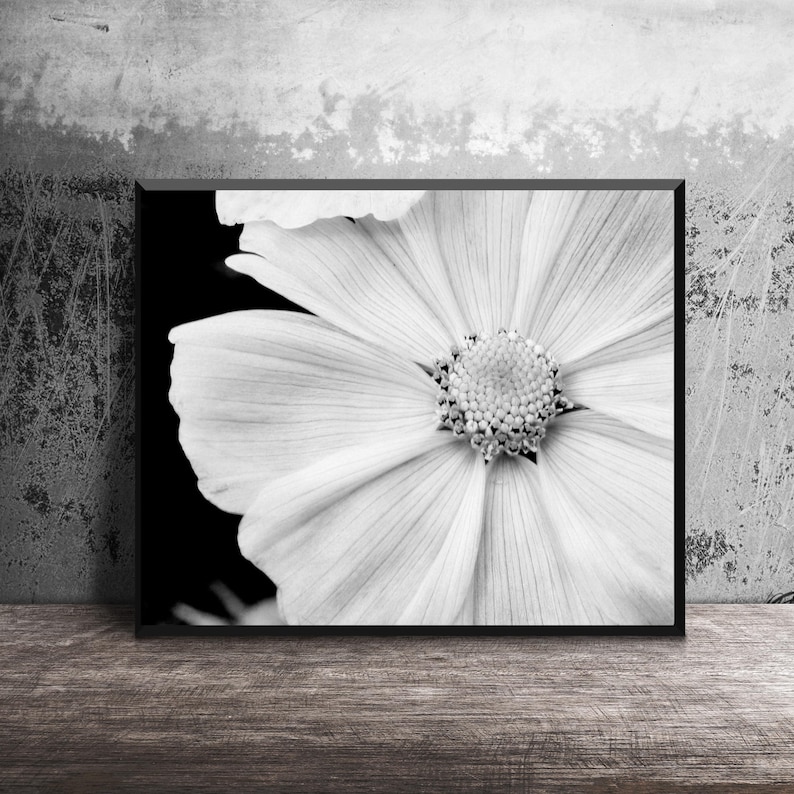 Black and White Nature Photography, White Flower Photo, Macro Flower, Photo Print, Flower Close Up, White Flower Petals, 16x20 Wall Art image 1