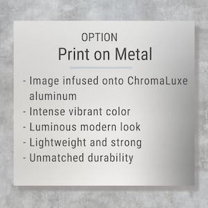 The image is a metal sign with the option to print on it. It is described as having an intense vibrant color, a luminous modern look, a lightweight and strong construction, and an unpatched durability.