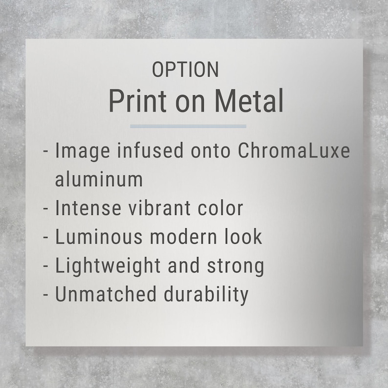 The image is a metal sign with the option to print on it. It is described as having an intense vibrant color, a luminous modern look, a lightweight and strong construction, and an unpatched durability.