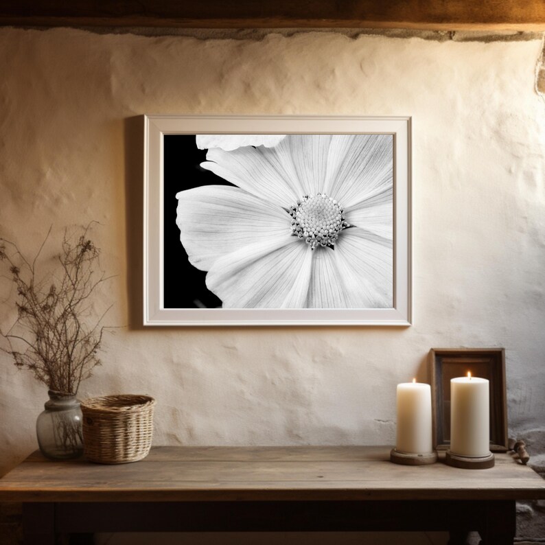 Black and White Nature Photography, White Flower Photo, Macro Flower, Photo Print, Flower Close Up, White Flower Petals, 16x20 Wall Art image 2