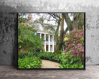 Louisiana Plantation House Photography, Bayou Teche, Southern Architecture