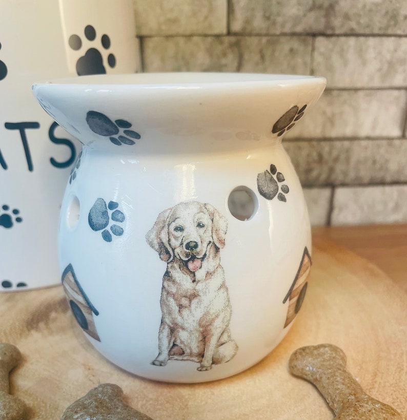 Best Golden Retriever Gifts