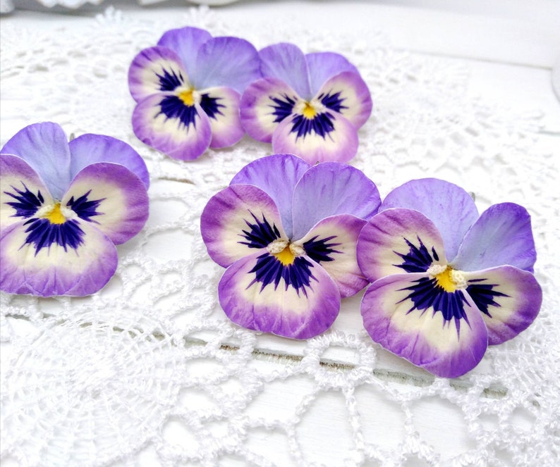 Earrings Pansie polymer clay Pansy jewelry summer flower Etsy