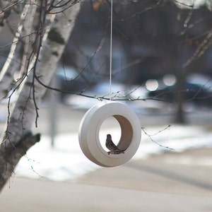 May include: A white bird feeder shaped like a ring hangs from a tree branch. A small brown bird is perched inside the feeder.