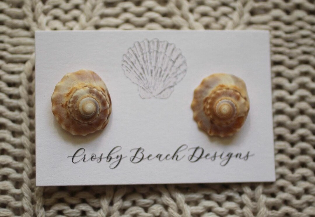 Handmade Cape Cod Channeled Whelk Shell Sterling Silver Stud Earrings ...