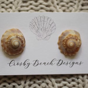 May include: A pair of seashell earrings displayed on a white card with the text "Crosby Beach Designs". The earrings are made from natural seashells, showcasing a spiral design with tan and brown hues. A seashell sketch is also on the card.