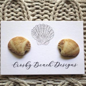 Op de afbeelding: Twee schelpvormige oorstekers op een witte kaart met een schelpenillustratie en de tekst "Crosby Beach Designs". De kaart ligt op een beige gebreid oppervlak.