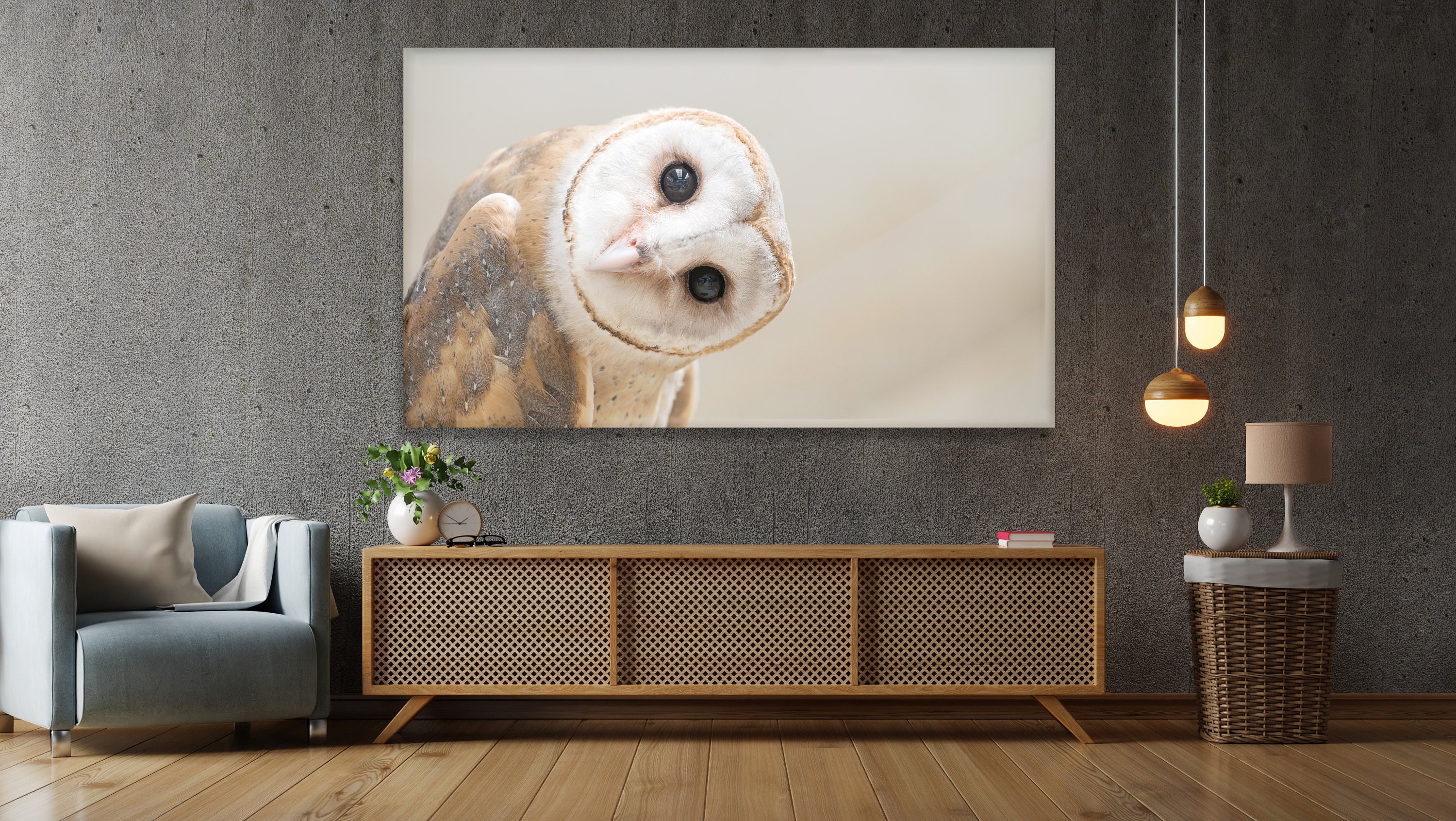 Acrylic Modern Wall Art Barn Owl Animals in the Wild Series - Etsy