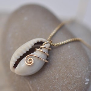 Puede incluir: Un collar de cadena dorada con un colgante de concha blanca. La concha está envuelta con alambre dorado en un diseño en espiral.