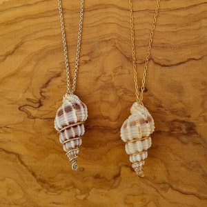 Talia luvaton Jewelry Real Seashell Necklace