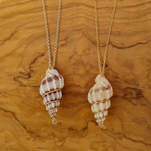 Natural seashell necklace cheap