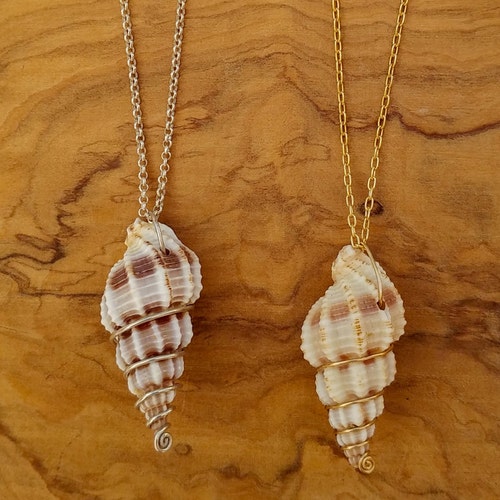 Real Seashell Necklace Goldfield Sterling Silver Unique - Etsy