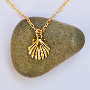 gold shell necklace, seashell necklace, gold shell, dainty necklace, seashell jewelry, surf, ocaen, Camino de Santiago, shell of saint james image 1