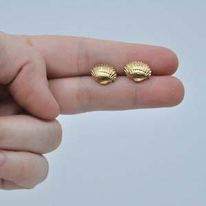 Shell studs, scalloped shell, tiny shell studs, shell jewelry, mermaid studs, shell studs, minimalist studs, seashell earrings