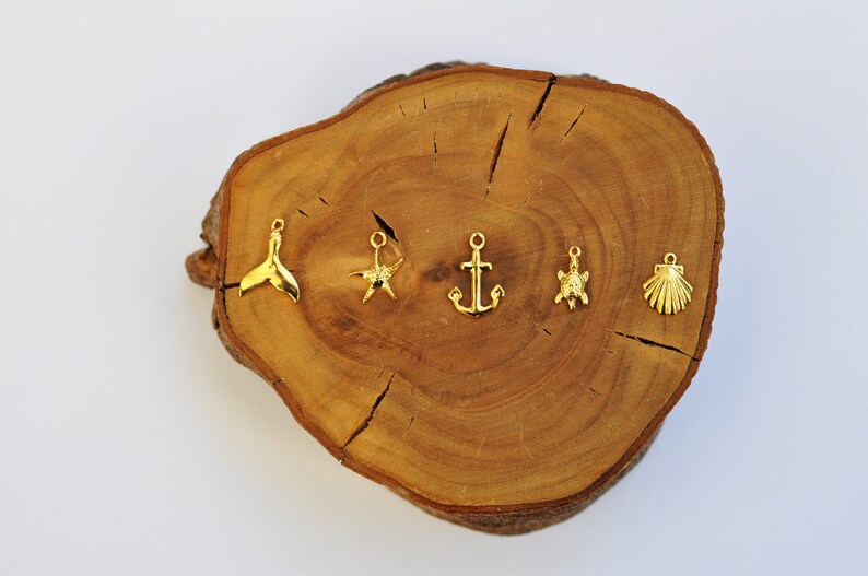 Real Shell Necklace, Shell Necklace, Gold Shell, Dainty Necklace, Shell