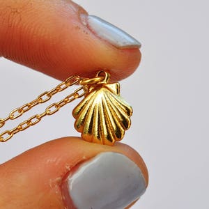 gold shell necklace, seashell necklace, gold shell, dainty necklace, seashell jewelry, surf, ocaen, Camino de Santiago, shell of saint james image 4