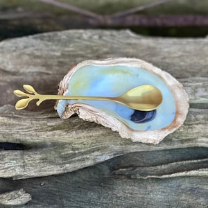 FREE SHIPPING!! Oyster shell Coffee spoon rest (with or w/o coffee spoon)