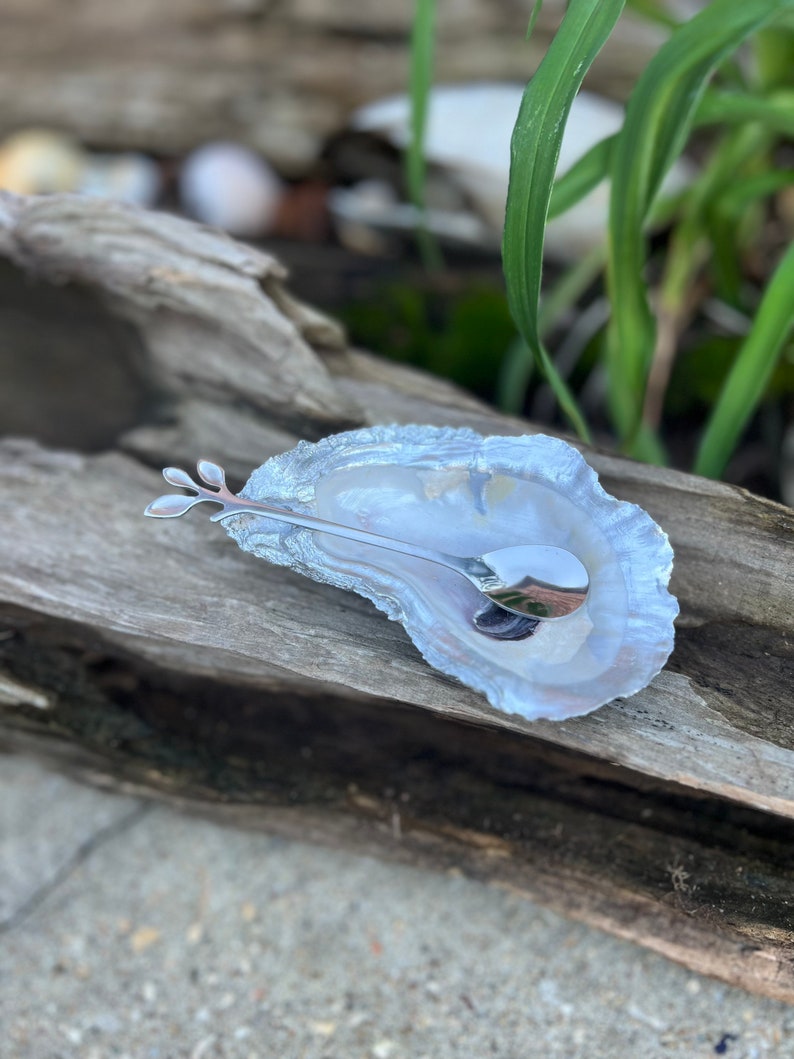 May include: A white oyster shell dish with a silver spoon with a leaf design. The dish and spoon are on a piece of weathered wood.