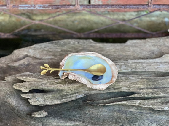 FREE SHIPPING!! Oyster shell Coffee spoon rest (with or w/o coffee spoon)